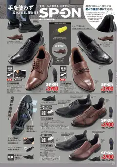 01.10.2025から有効なオファーを含む ヒラキ - Exciting Price 3712 | ページ: 79 | 製品: クッション, インソール