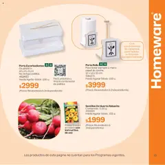 Tupperware - Hasta Agotar Stock │ válido desde el 15.09.2025 | Página: 13 | Productos: Sobre, Rabanito, Semillas