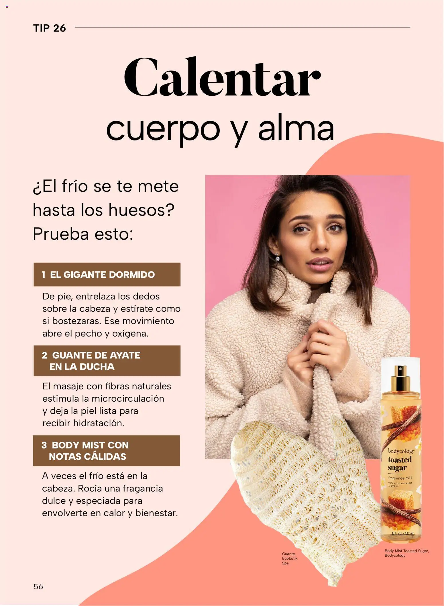 Nuevas ofertas de Chedraui válidas en toda la República Mexicana desde el 24.10.2025. ¡Encuentra las mejores ofertas en Chedraui folleto Vive Bella! | Página: 56 | Productos: Body, Té, Guante, Fragancia