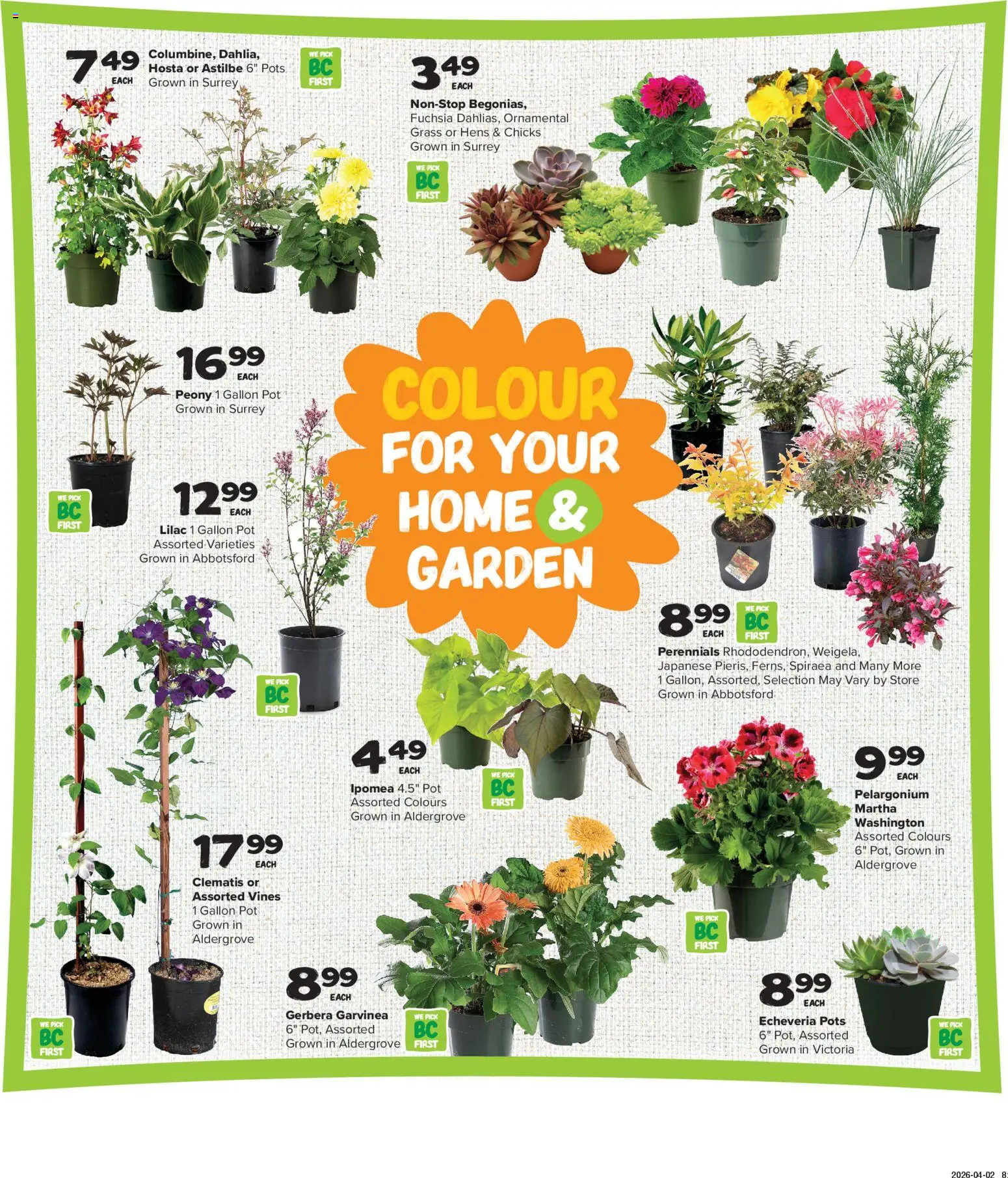 Thrifty Foods flyer valid from 16.04.2026 | Page: 18