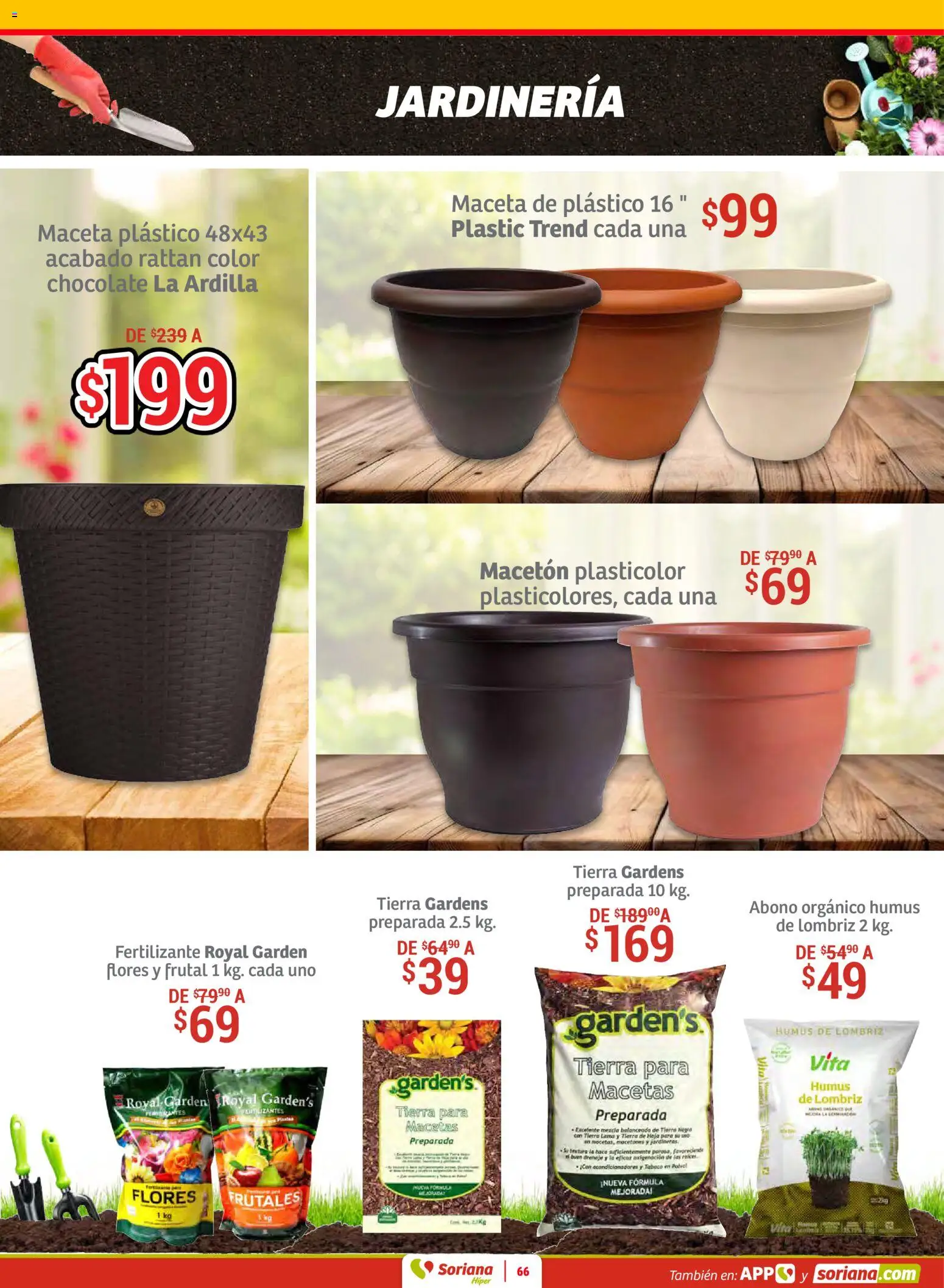 Nuevas ofertas de Soriana válidas en toda la República Mexicana desde el 30.01.2026. ¡Encuentra las mejores ofertas en Soriana - Preciazazaso Híper: Frontera BCN, Son! | Página: 66 | Productos: Chocolate, Maceta