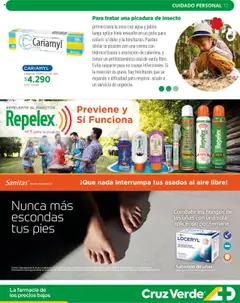 Ahorro Primavera Cruz Verde válido desde el 01.10.2025 | Página: 17