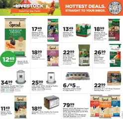 Mills Fleet Farm Weekly Ad - valid from 17.07.2025 | Page: 3