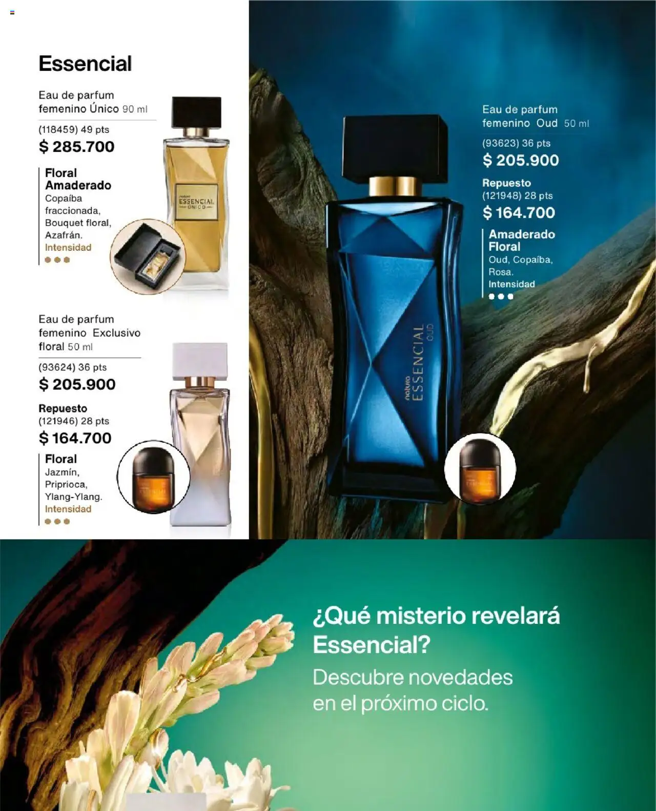 Natura revista - valida desde el 23.07.2025 | Página: 55