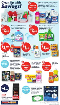 Preview of Family Dollar weekly ads valid from 21.12.2025 | Page: 11