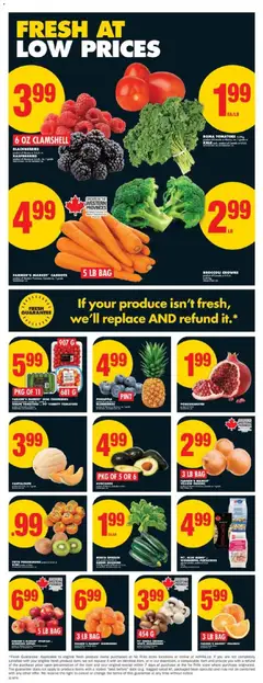 Preview of GREEN ZUCCHINI from shop No Frills valid from 30.10.2025 | Page: 2 | Products: Pineapple, Kiwi, Salad, Tomatoes