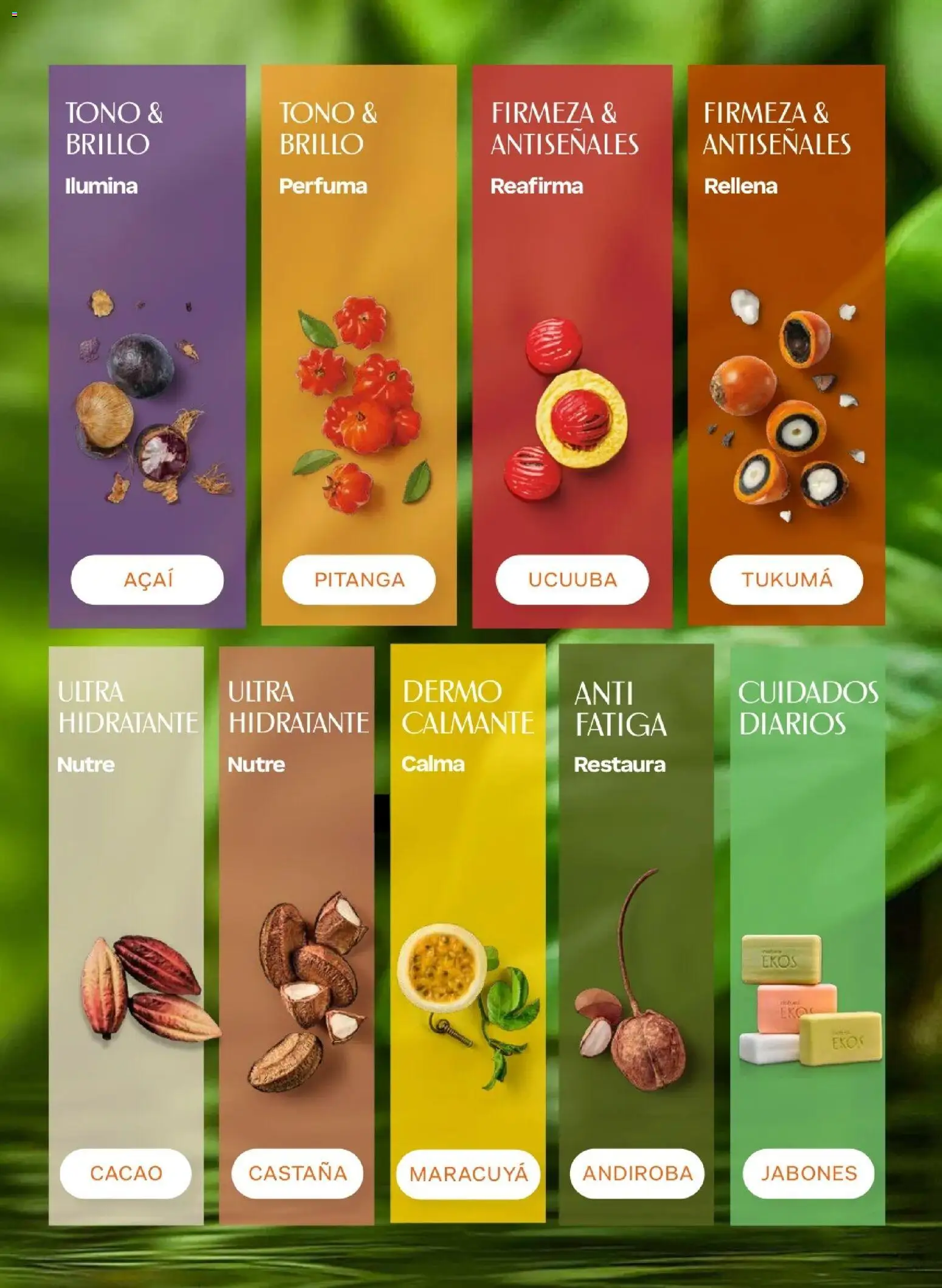 Catálogo Natura válido desde 31.03.2026 | Página: 100