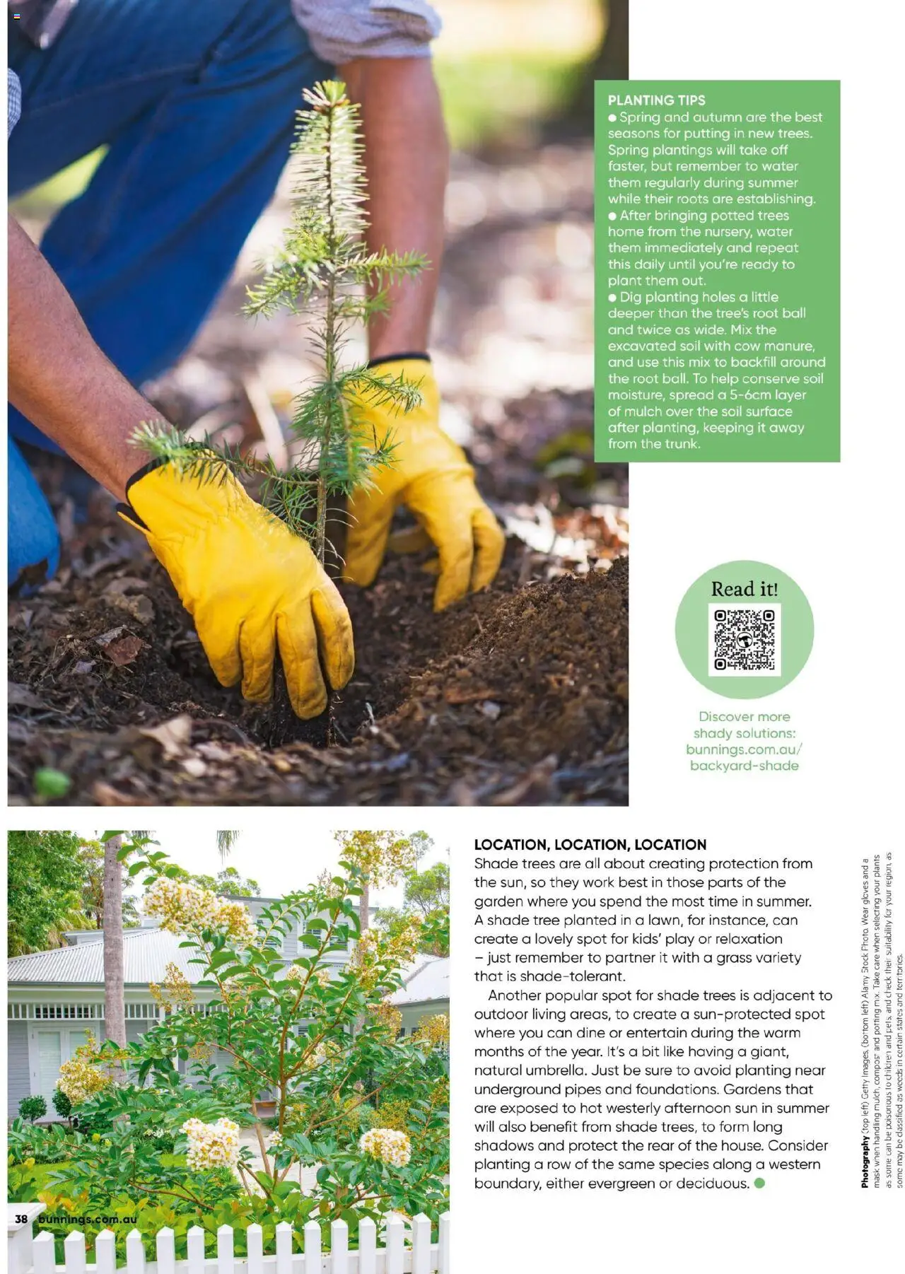 Bunnings Warehouse catalogue - valid from 01.10.2025 | Page: 38 | Products: Plant, Mask, Soil, Gloves