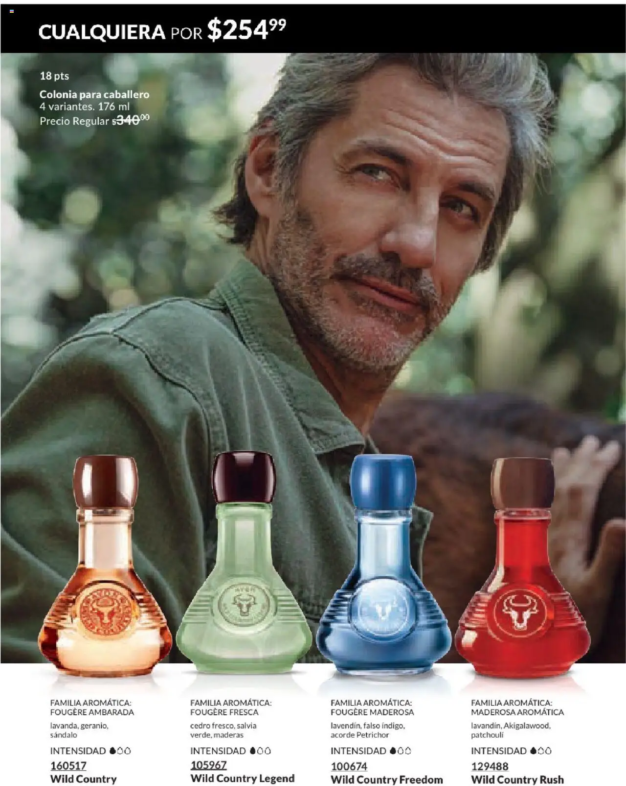 Nuevas ofertas de AVON válidas en toda la República Mexicana desde el 17.03.2025. ¡Encuentra las mejores ofertas en AVON campaña 7 2025! | Página: 97