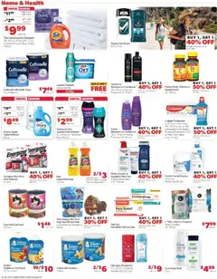 Preview of Family Fare weekly ads valid from 12.10.2025 | Page: 13 | Products: Cat Food, Conditioner, Deodorant, Chips