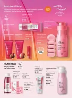 Vista previa de folleto Natura - Ciclo 2 de la Natura válido desde 13.01.2026 | Página: 131