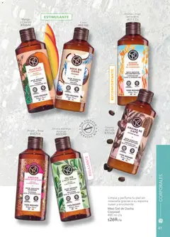 Vista previa de Yves Rocher campaña 16 2025, nuevo folleto de la tienda, válido en México a partir del 19.11.2025 | Página: 63