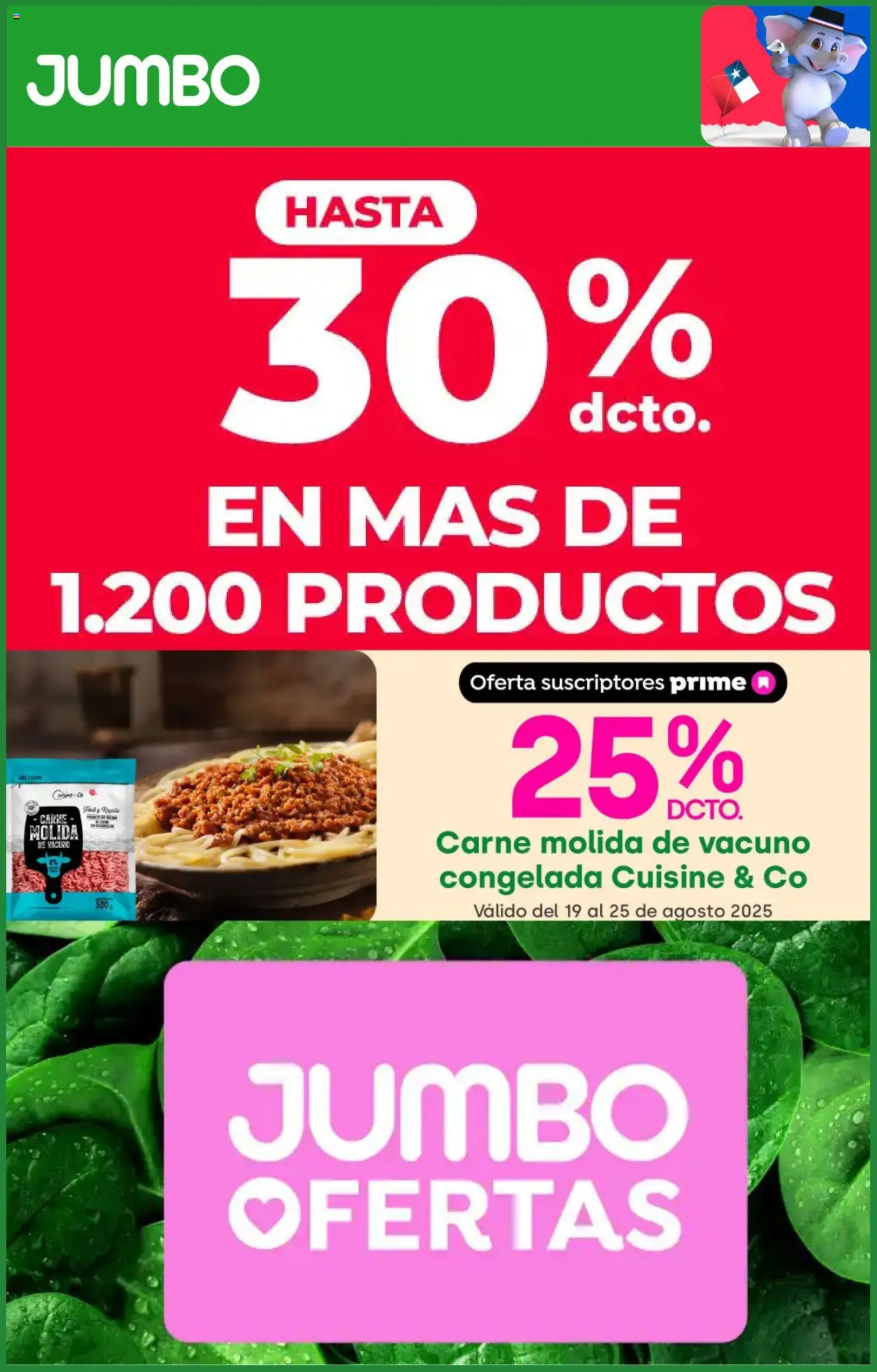 Jumbo ofertas  │ válido desde el 19.08.2025 | Página: 1