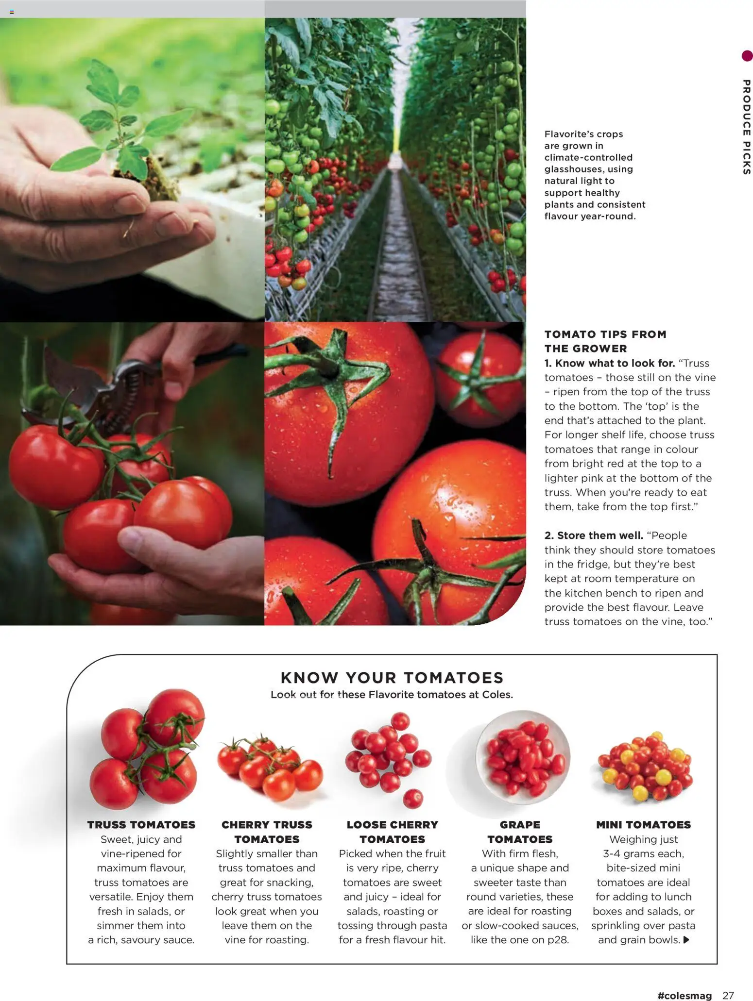 Coles catalogue - valid from 05.03.2026 | Page: 27 | Products: Shelf, Light, Tomatoes, Bench