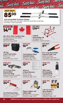 Preview of Princess Auto - 2 Week Sale! from shop Princess Auto valid from 02.12.2025 | Page: 31