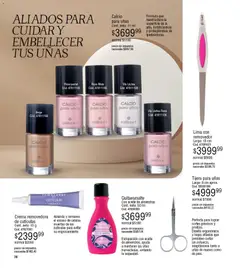 Vista previa Millanel - Catálogo válido desde el 30.03.2026 | Página: 78 | Productos: Almendras, Tijera, Lima, Crema