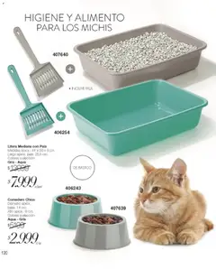 Vista previa Violetta catálogo válido desde el 01.01.2026 | Página: 120 | Productos: Pala