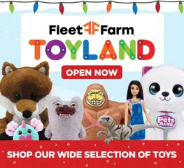 Preview of Mills Fleet Farm weekly ads valid from 18.12.2025 | Page: 10