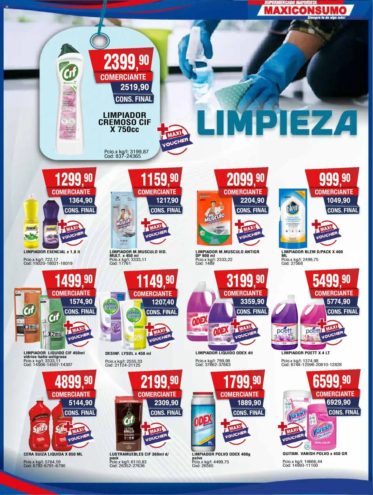 Maxiconsumo ofertas │ válido desde el 15.09.2025 | Página: 21 | Productos: Polvo, Ropa, Té, Limpiador