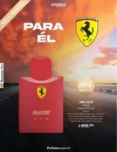 Vista previa de Andrea catálogo Momento Glam, nuevo folleto de la tienda, válido en México a partir del 26.10.2025 | Página: 38 | Productos: Nuez, Eau de toilette