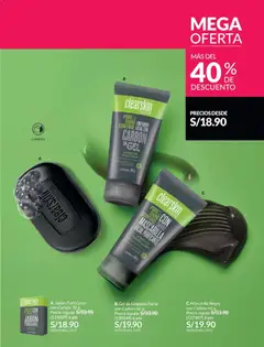 Vista previa de folleto Avon - Ciclo 19 de la Avon válido desde 01.12.2025 | Página: 141