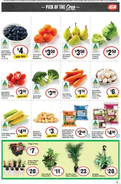 IGA catalogue - valid from 17.09.2025 | Page: 12