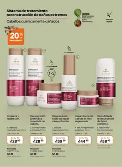 Vista previa de folleto Natura catálogo  - Ciclo 5 de la Natura válido desde 10.03.2026 | Página: 138