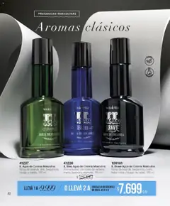 Violetta catálogo │ válido desde el 07.08.2025 | Página: 40 | Productos: Agua