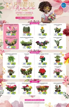 Prezunic ofertas Festival das Flores - Pré-Visualização do folheto da loja Prezunic, válido de 19.03.2026
