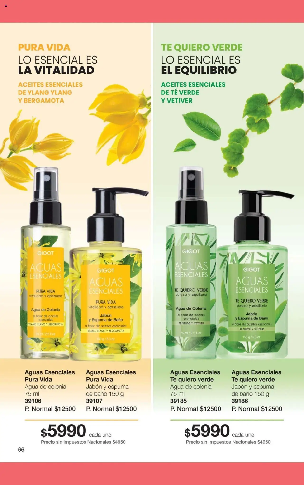 Gigot catálogo │ válido desde el 01.10.2025 | Página: 92 | Productos: Baño, Jabón, Espuma, Té