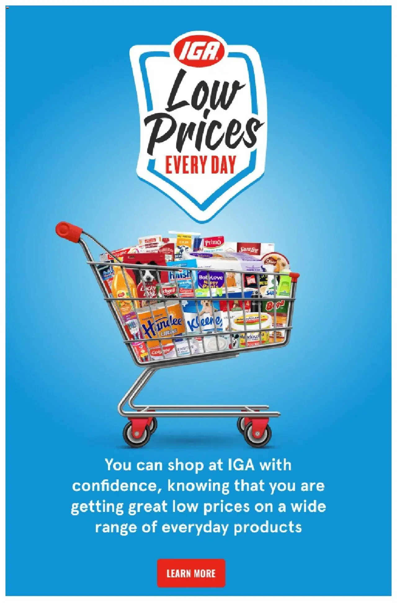 IGA catalogue - valid from 27.08.2025 | Page: 37