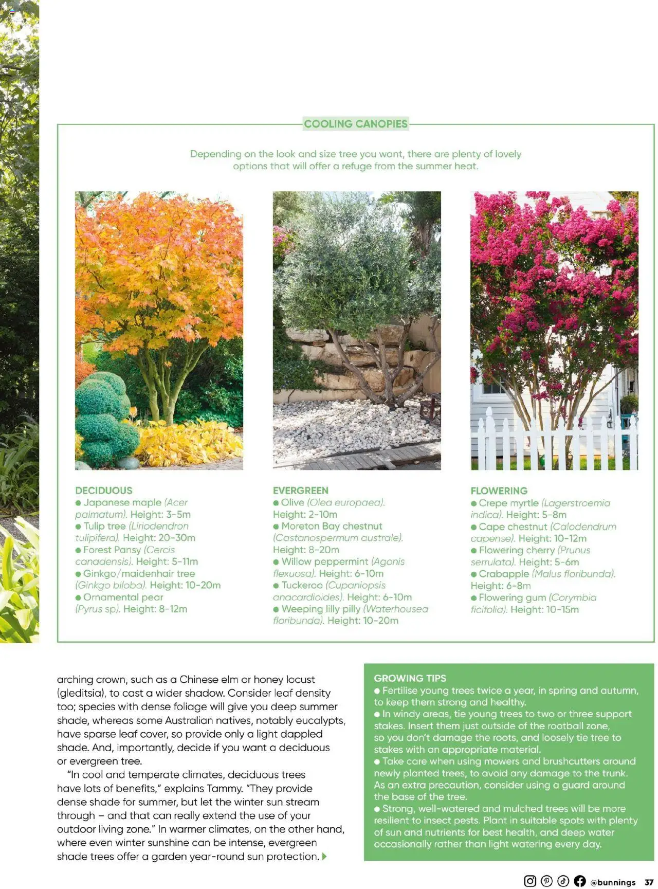 Bunnings Warehouse catalogue - valid from 01.10.2025 | Page: 37 | Products: Light, Gum, Honey, Water