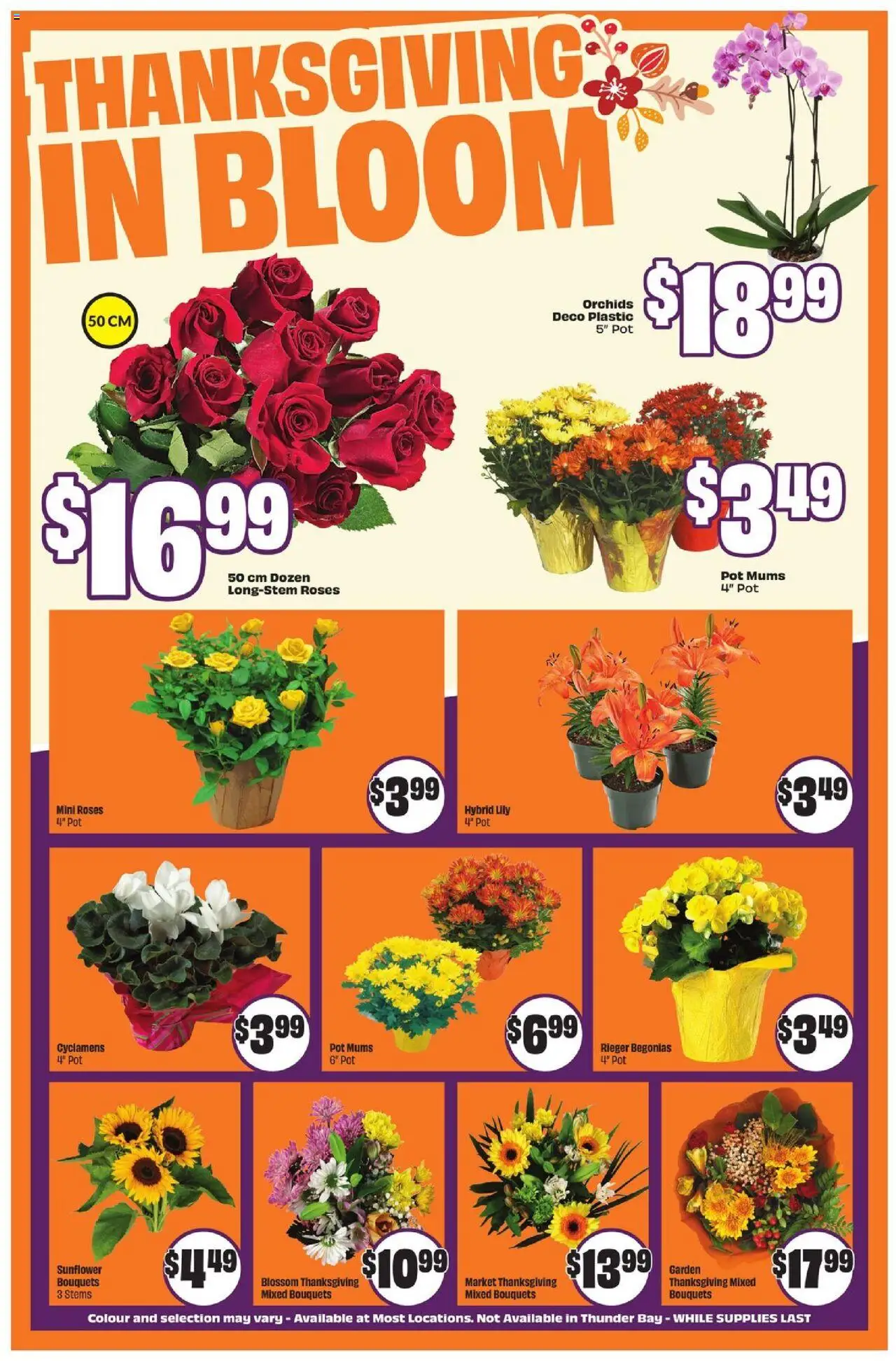 FreshCo flyer valid from 02.10.2025 | Page: 5