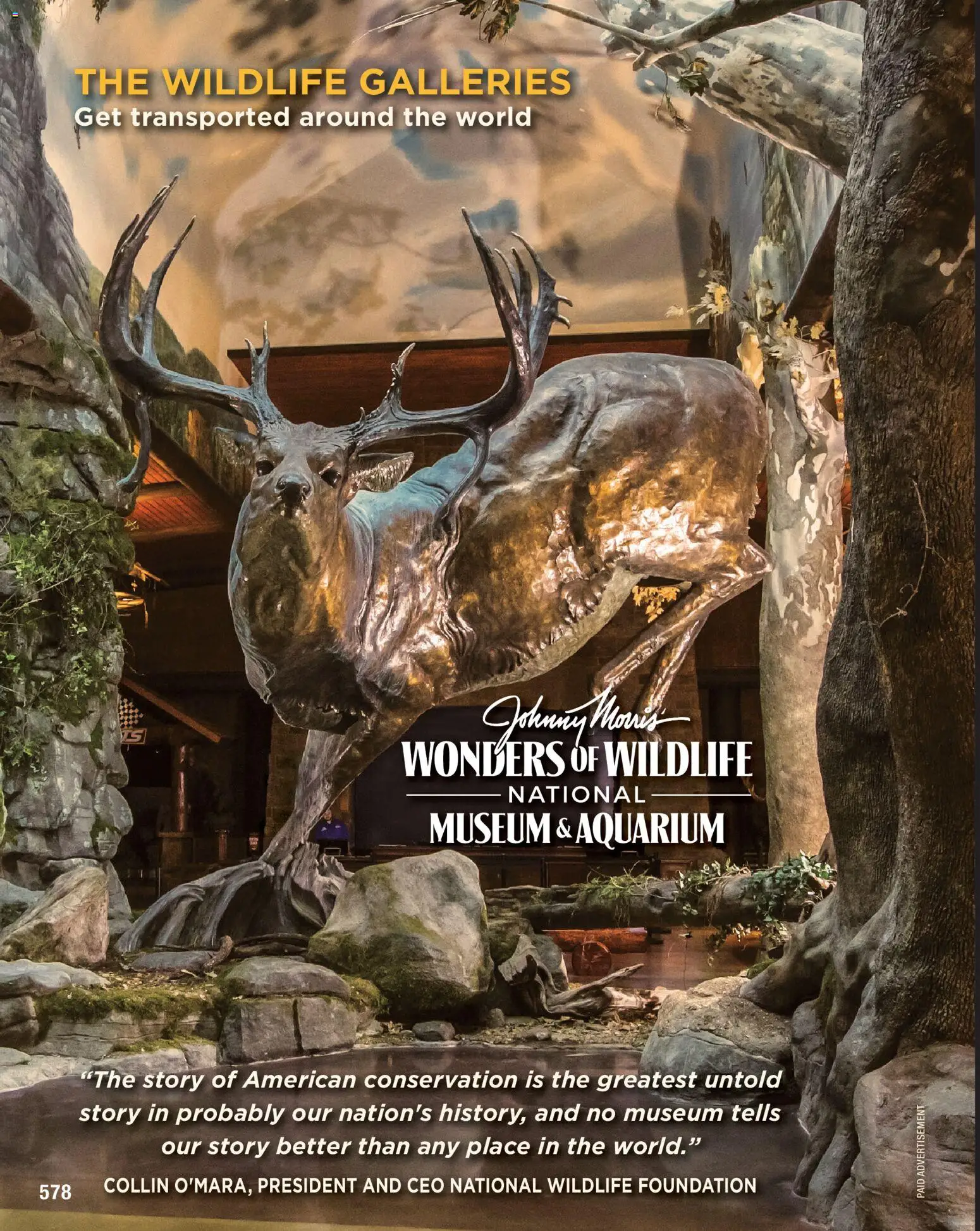 Cabela's Spring Fishing Master 26 - valid from 22.01.2026 | Page: 578