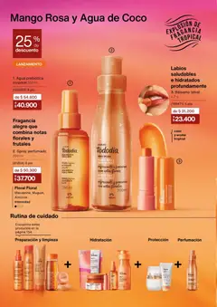 Natura - Catálogo C17/2025 -  Vista previa de la revista de la tienda Natura valido desde el 13.11.2025 | Página: 117 | Productos: Agua, Body, Mango, Fragancia