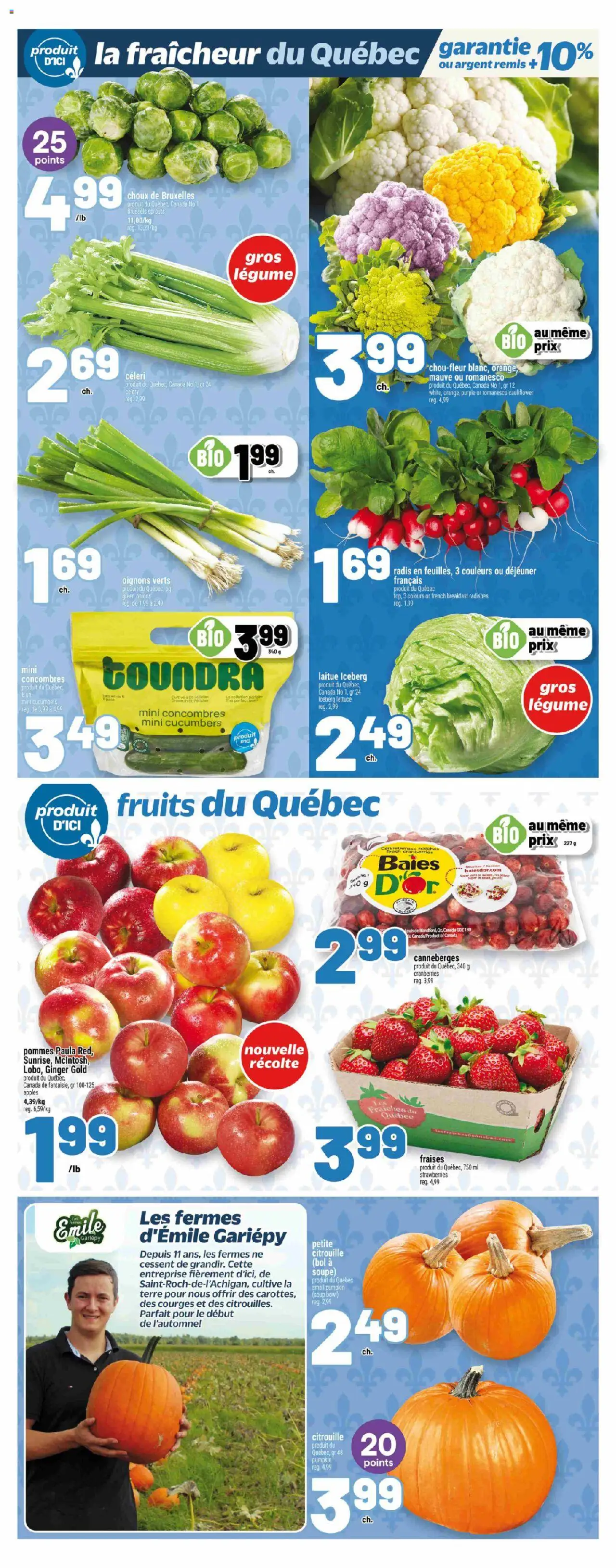 Metro flyer valid from 18.09.2025 | Page: 7 | Products: Strawberries, Cucumbers, Pumpkin, Apples