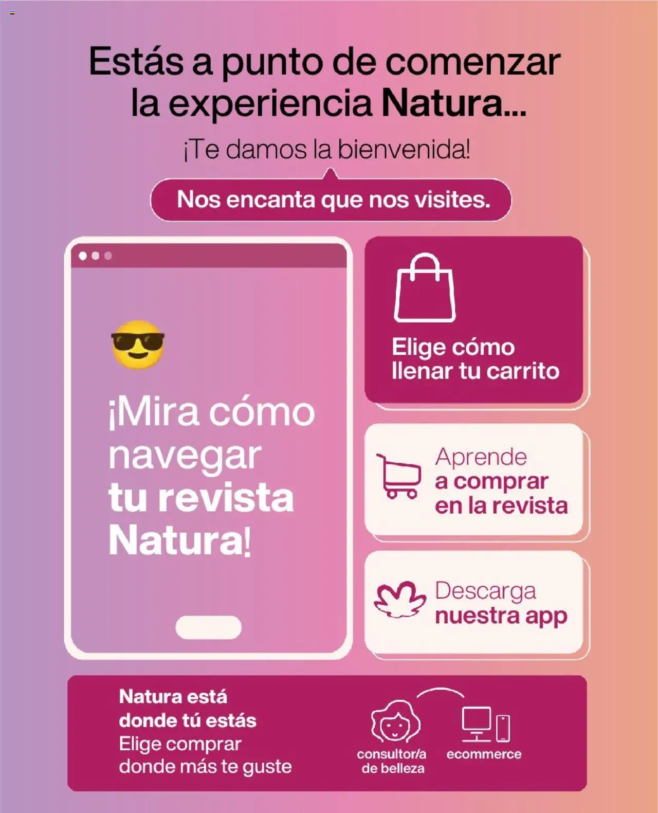 Natura revista - valida desde el 23.07.2025 | Página: 2 | Productos: Té, Magdalena