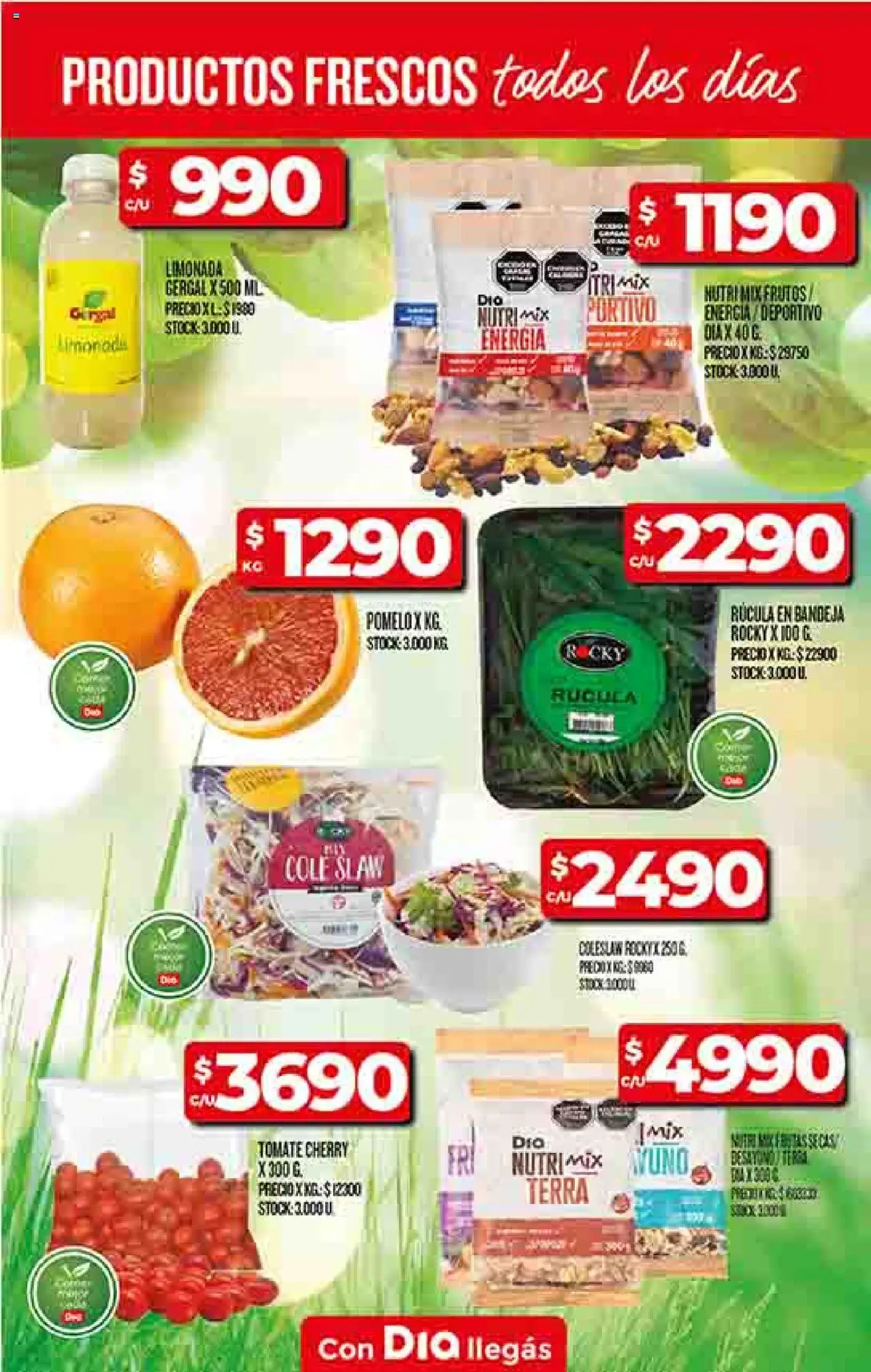 Supermercado DIA Ofertas │ válido desde el 18.06.2025 | Página: 9 | Productos: Bandeja, Rúcula, Tomate, Pomelo