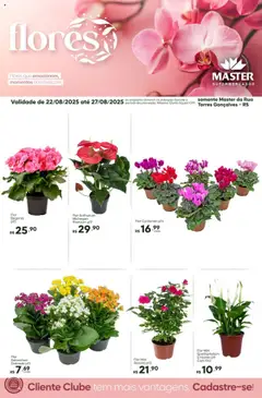 Master - Ofertas Flores - Pré-Visualização do folheto da loja Master, válido de 22.08.2025