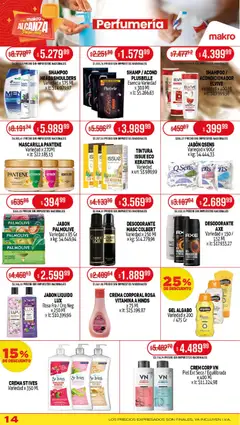 Vista previa Makro ofertas válido desde el 30.10.2025 | Página: 14 | Productos: Fragancia, Shampoo, Tintura, Crema