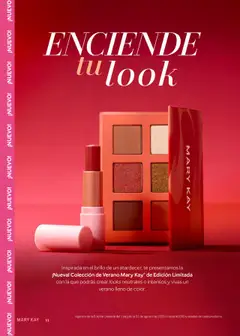Nuevas ofertas de Mary Kay válidas en toda la República Mexicana desde el 01.07.2025. ¡Encuentra las mejores ofertas en Mary Kay catálogo! | Página: 11