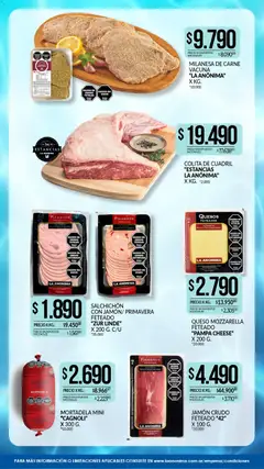 Vista previa La Anonima catálogo válido desde el 29.01.2026 | Página: 2 | Productos: Jamón crudo, Mortadela, Queso, Jamón