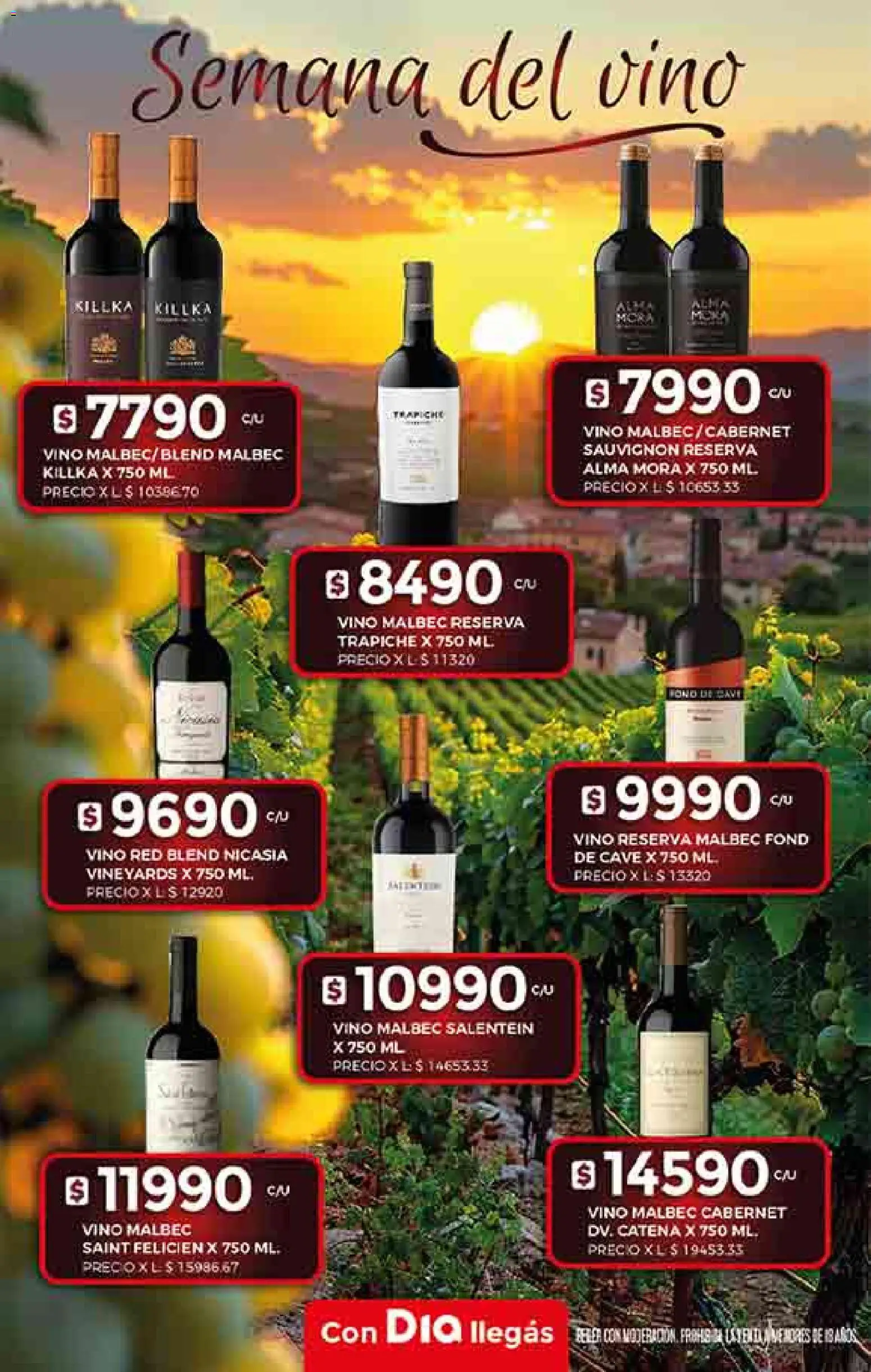Supermercado DIA Ofertas │ válido desde el 19.11.2025 | Página: 22 | Productos: Vino