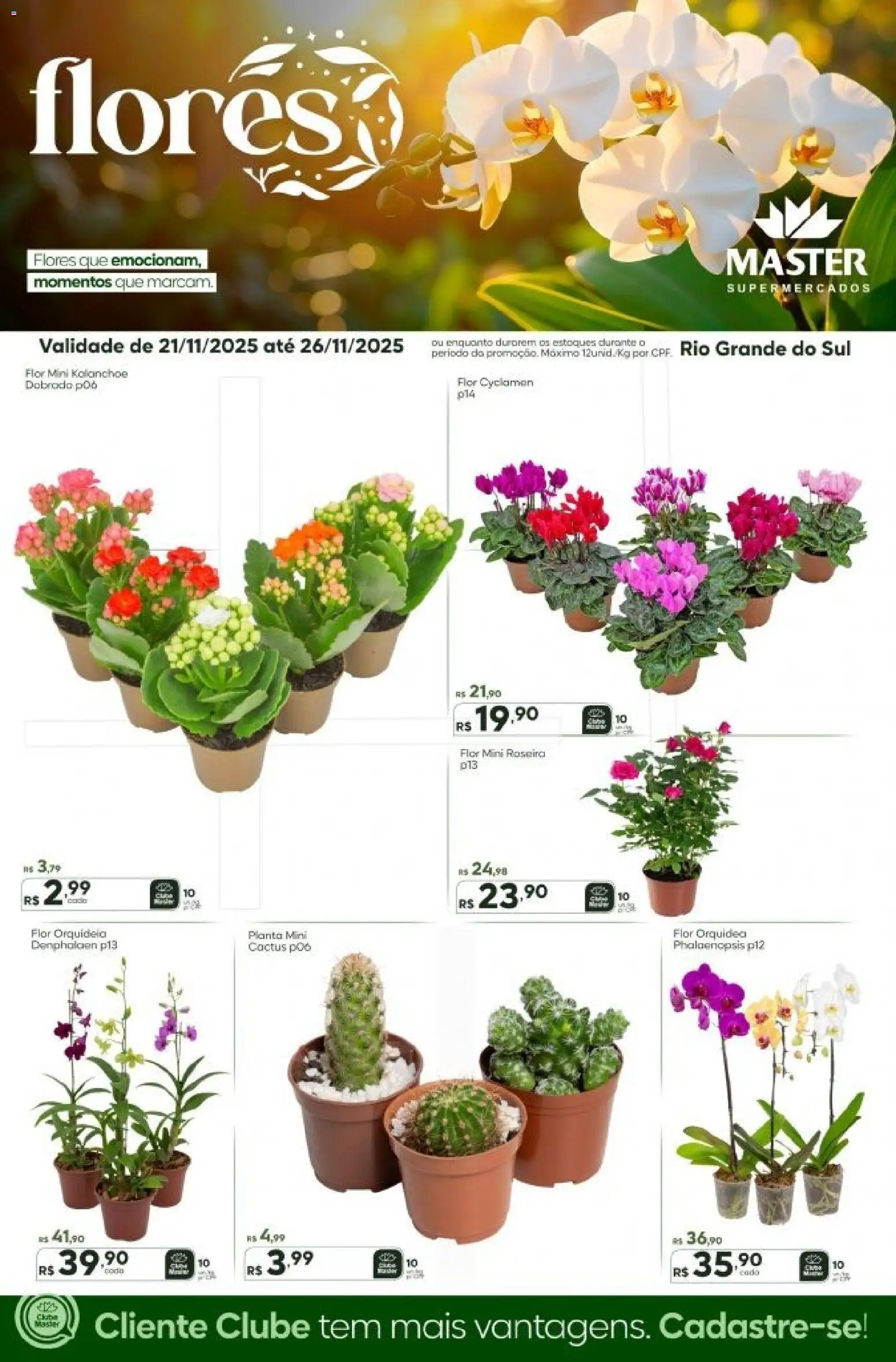 Master Folheto - válido de 21.11.2025 | Página: 1 | Produtos: Flores