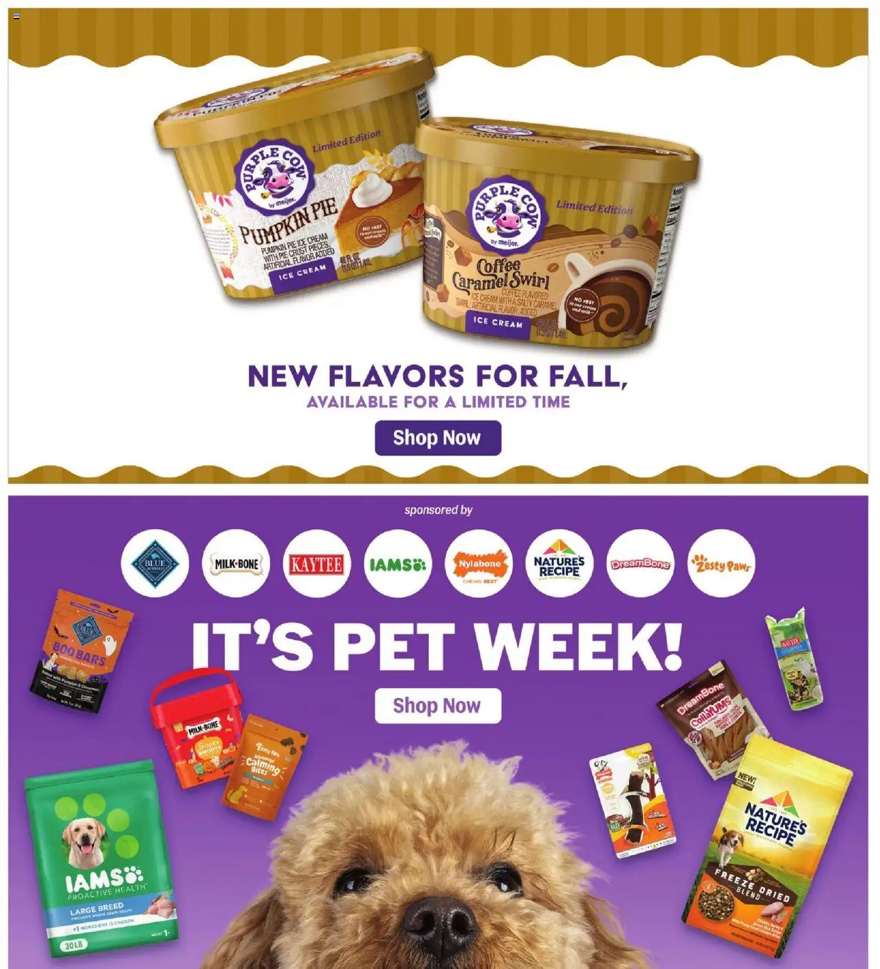 Meijer Weekly Ad - MI - valid from 17.09.2025 | Page: 41