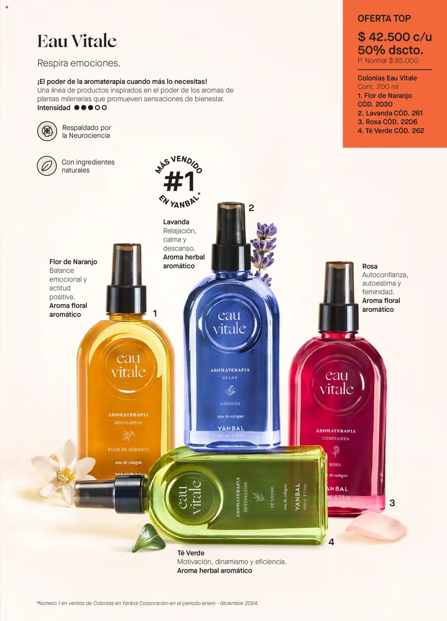 Yanbal revista - valida desde el 03.01.2026 | Página: 97 | Productos: Té, Top