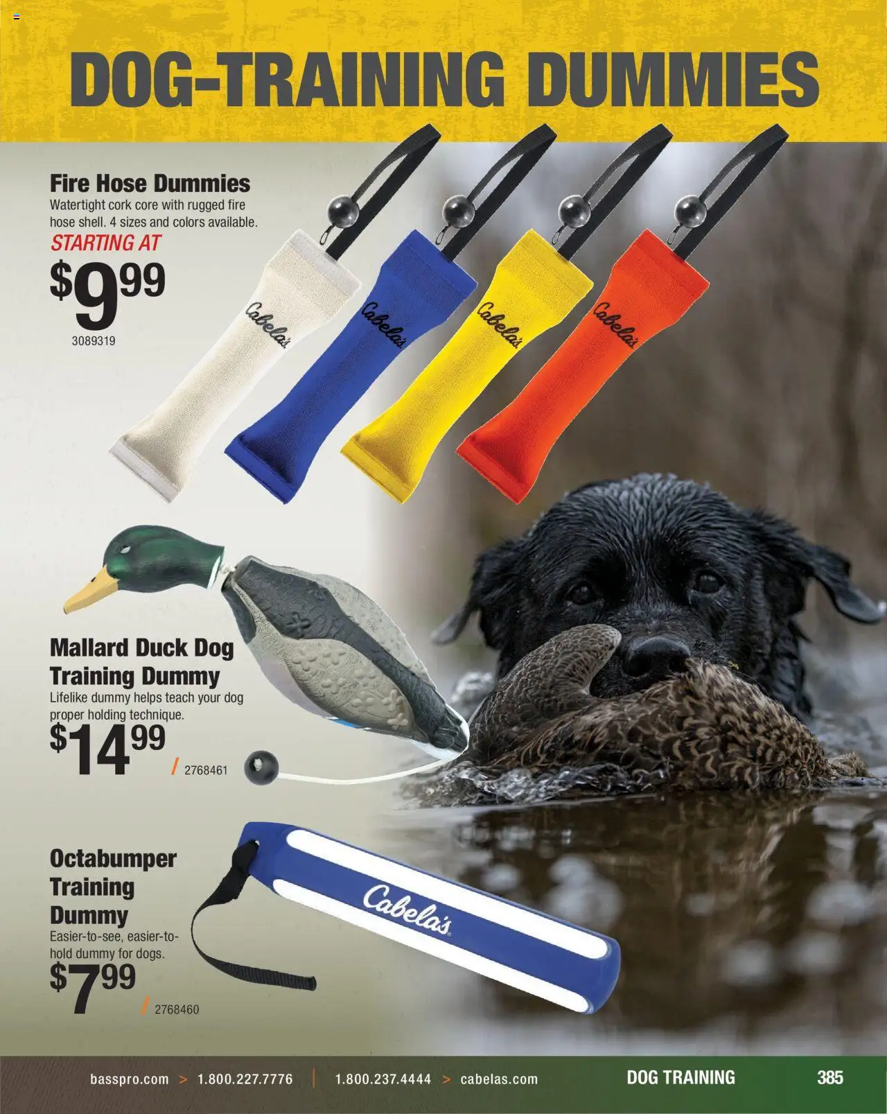 Cabela's Hunting Master 25 - valid from 11.08.2025 | Page: 385