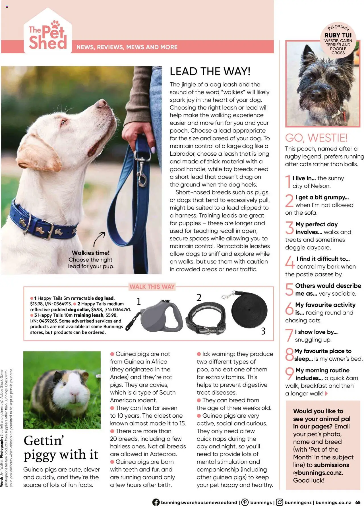 Bunnings Warehouse catalogue from 01.09.2025 | Page: 65