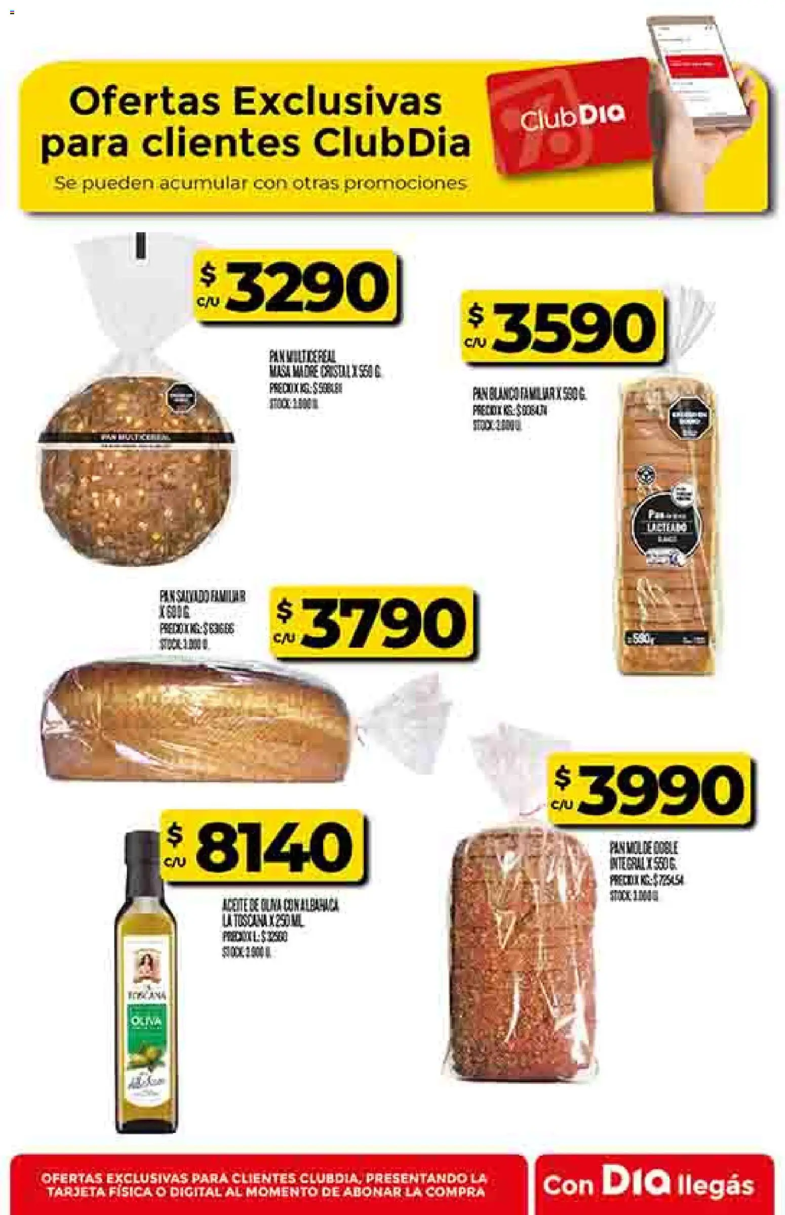 Dia - Ofertas │ válido desde el 26.12.2025 | Página: 48 | Productos: Molde, Aceite, Oliva, Pan