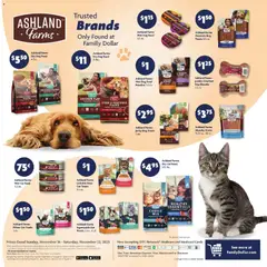 Preview of Family Dollar weekly ads valid from 16.11.2025 | Page: 14